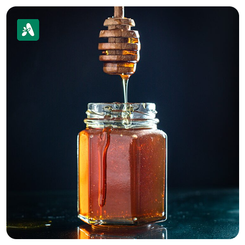Wild Moringa Honey