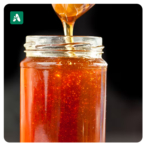 Himachal Mountain Honey
